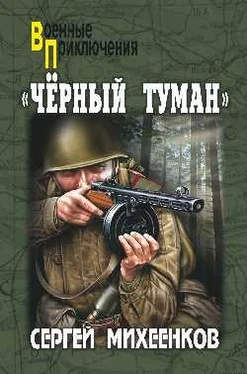 Сергей Михеенков «Черный туман» обложка книги