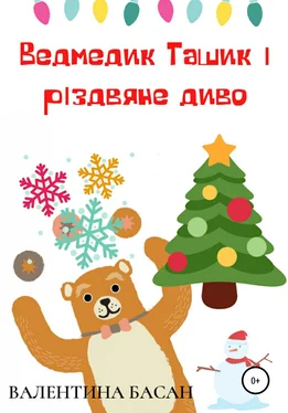 Валентина Басан Ведмедик Ташик і різдвяне диво обложка книги