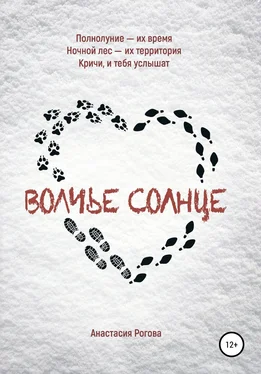 Анастасия Рогова Волчье солнце обложка книги