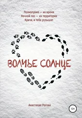 Анастасия Рогова - Волчье солнце