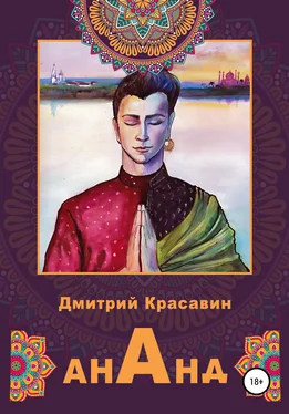 Дмитрий Красавин Ананд обложка книги