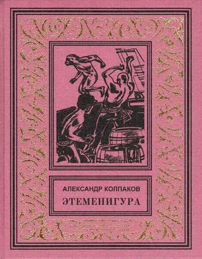 Александр Колпаков Этеменигура обложка книги