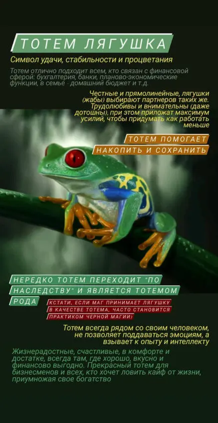 7 Законы курицы Жертвенная и бесстрашная за идею наполненная всегда - фото 21