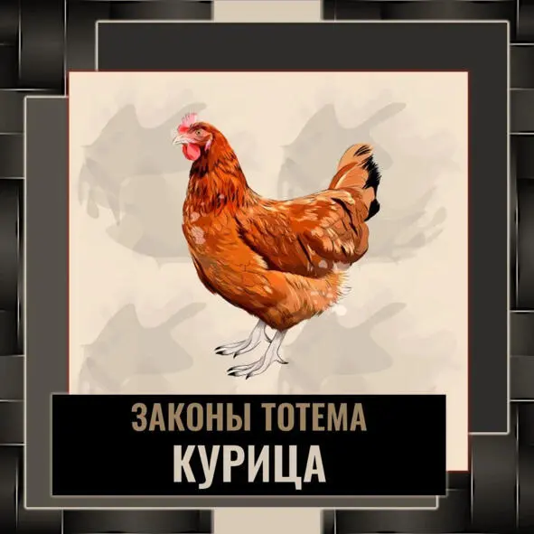Жертвенная и бесстрашная за идею наполненная всегда какойто идеологической - фото 22