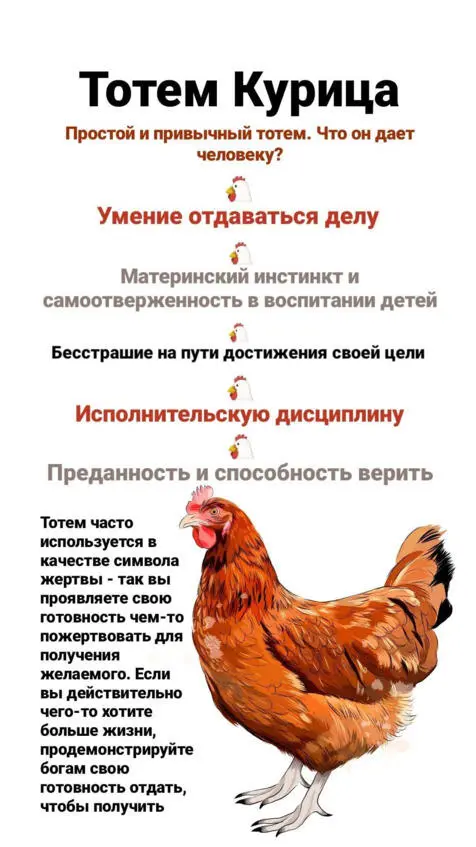 8 Законы краба Краб в своей жизни проходит через серьезный трансформационный - фото 24