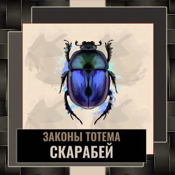 Жук Скарабей символ восходящего солнца Интересно что в действиях Скарабея - фото 36