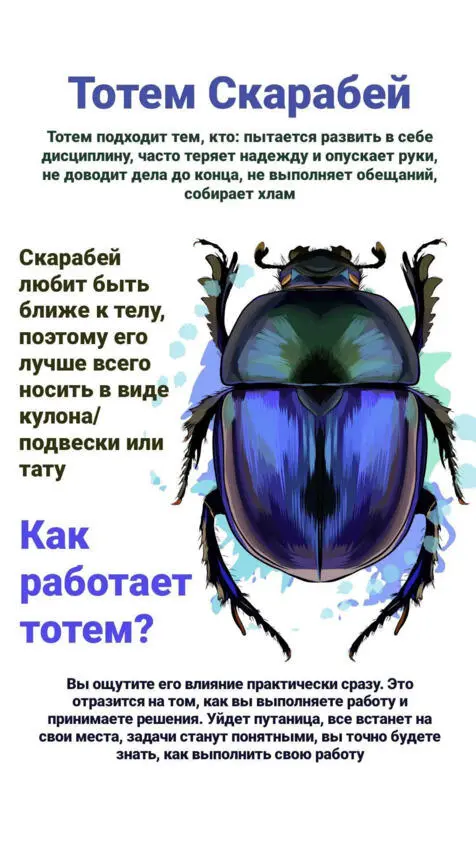 13 Законы совы Сова имеет уникальные способности которые в свою очередь - фото 38