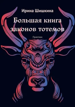 Ирина Шишкина Большая книга законов тотемов. Практики обложка книги