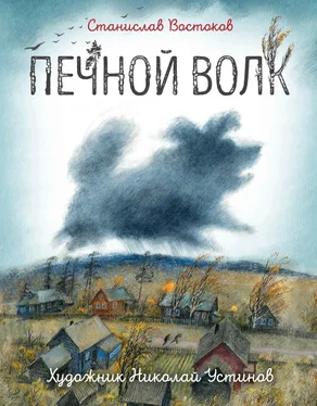 Станислав Востоков Печной волк обложка книги