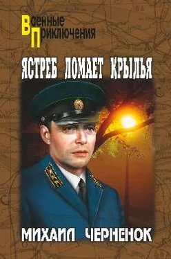 Михаил Черненок Ястреб ломает крылья обложка книги