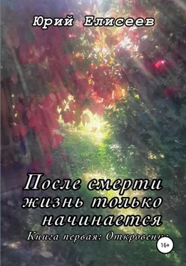 Юрий Елисеев После смерти жизнь только начинается. Откровение обложка книги