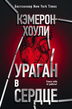 Кэмерон Хоули Ураган в сердце обложка книги