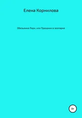 Елена Корнилова - Обезьянка Лори, или Праздник в зоопарке