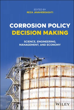 Неизвестный Автор Corrosion Policy Decision Making обложка книги