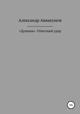 Александр Аввакумов «Душман». Ответный удар обложка книги