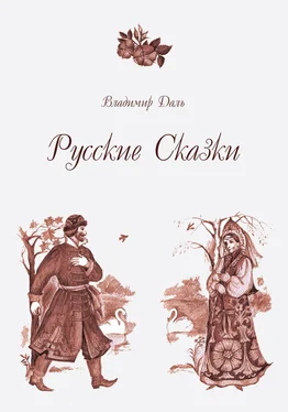 Владимир Даль Русские Сказки обложка книги