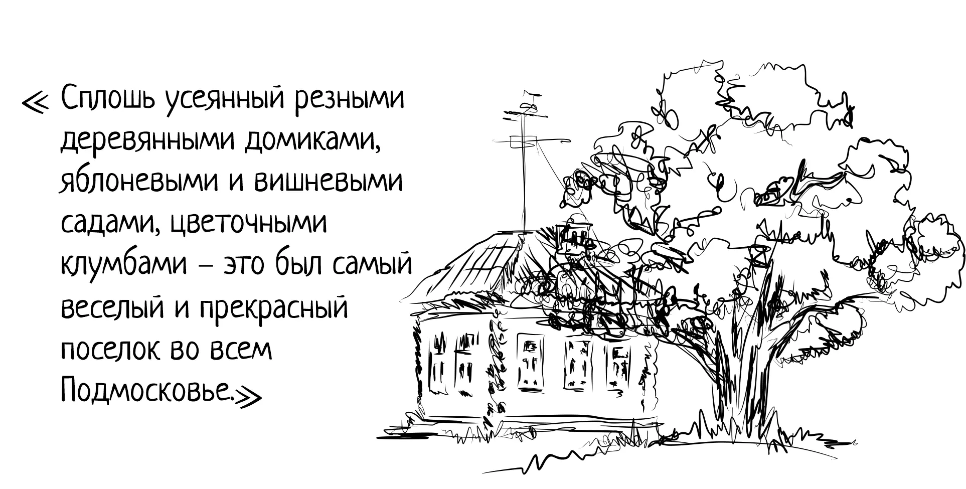 В огороде у каждого было по грядке где выращивали лук и петрушку а Борис - фото 10
