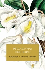 Решад Гюнтекин - Королек – птичка певчая