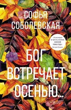 Софья Соболевская Бог встречает осенью… обложка книги