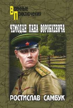 Ростислав Самбук Чемодан пана Воробкевича обложка книги