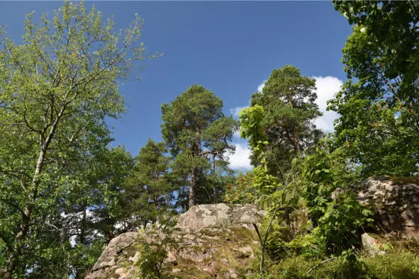 Ландшафт на подступах к острову Seurasaari Яхтклуб Munkan - фото 3