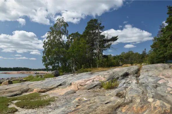 Каменные узоры острова Seurasaari Камышовая заводь - фото 5