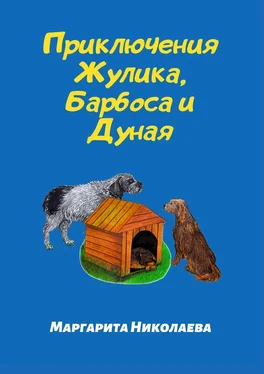 Маргарита Николаева Приключения Жулика, Барбоса и Дуная обложка книги