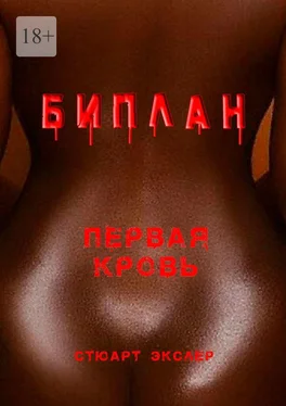 Стюарт Экслер Биплан. Первая кровь обложка книги