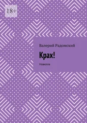 Валерий Радомский - Крах! Новелла