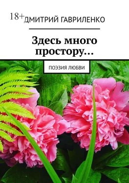 Дмитрий Гавриленко Здесь много простору… Поэзия любви обложка книги