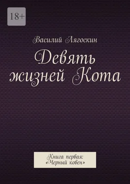 Василий Лягоскин Девять жизней Кота. Книга первая: «Черный ковен» обложка книги