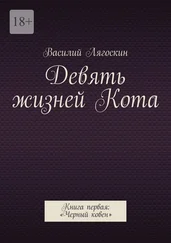 Василий Лягоскин - Девять жизней Кота. Книга первая - «Черный ковен»