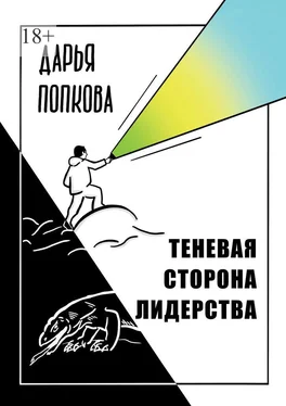Дарья Попкова Теневая сторона лидерства обложка книги