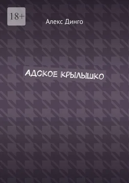 Алекс Динго Адское крылышко обложка книги