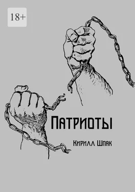 Кирилл Шпак Патриоты обложка книги