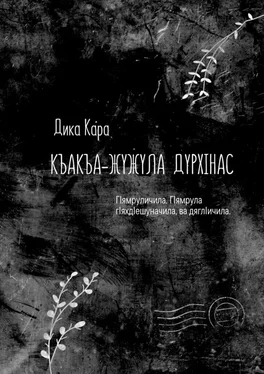 Дика Кара Къакъа–жужула дурхIнас. ГIямруличила. ГIямрула гIяхдIешуначила, ва дяглIичила обложка книги