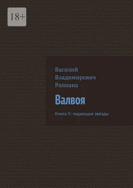 Василий Раппана Валвоя. Книга II: падающие звезды обложка книги