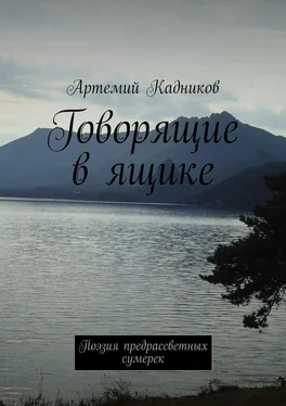 Артемий Кадников Говорящие в ящике. Поэзия предрассветных сумерек обложка книги