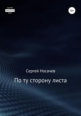 Сергей Носачев По ту сторону листа обложка книги