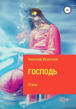 Николай Игнатков Господь обложка книги