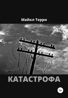 Майкл Терри Катастрофа обложка книги