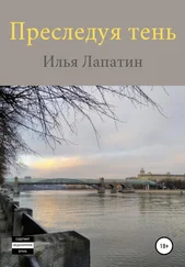 Илья Лапатин - Преследуя тень