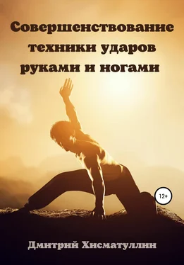 Дмитрий Хисматуллин Совершенствование техники ударов руками и ногами обложка книги