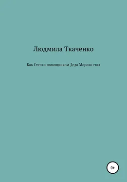 Людмила Ткаченко Как Степка помощником Деда Мороза стал обложка книги