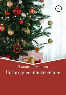 Владимир Минеев Новогоднее приключение обложка книги