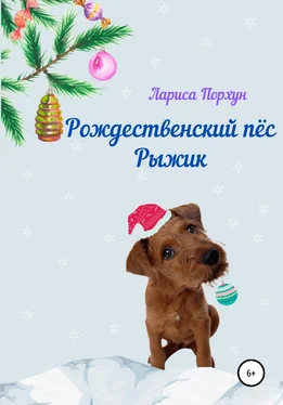 Лариса Порхун Рождественский пёс Рыжик обложка книги