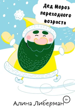Алина Либерман Дед Мороз переходного возраста обложка книги