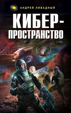 Андрей Ливадный Жизненное пространство. Книга 3. Киберпространство обложка книги