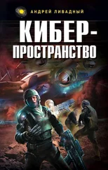 Андрей Ливадный - Жизненное пространство. Книга 3. Киберпространство