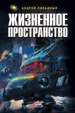 Андрей Ливадный Жизненное пространство. Книга 2 обложка книги